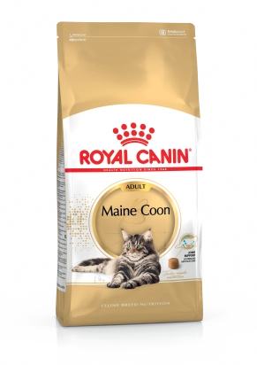 ROYAL CANIN MAINE COON ADULT CHAT A PARTIR DE 15 MOIS 4KG